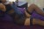 Malatya Escort ADA - Görsel1